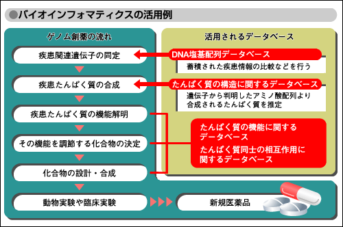 バイオインフォマティクス | 時事用語事典 | 情報・知識＆オピニオン